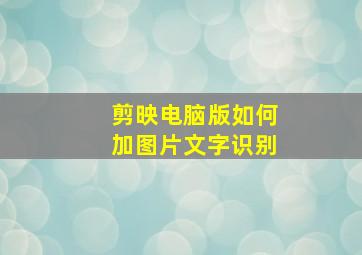 剪映电脑版如何加图片文字识别