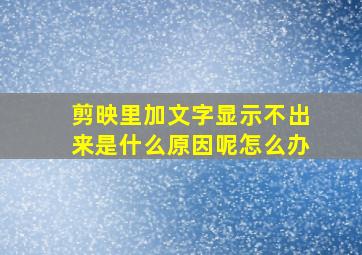 剪映里加文字显示不出来是什么原因呢怎么办