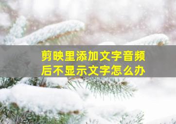 剪映里添加文字音频后不显示文字怎么办