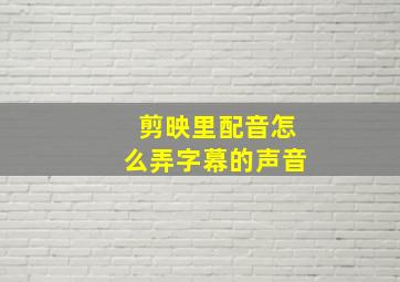 剪映里配音怎么弄字幕的声音