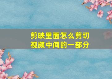 剪映里面怎么剪切视频中间的一部分