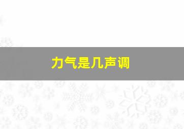 力气是几声调