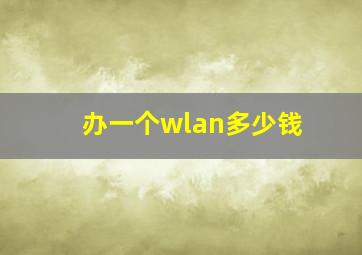 办一个wlan多少钱