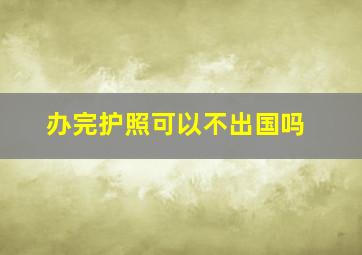 办完护照可以不出国吗