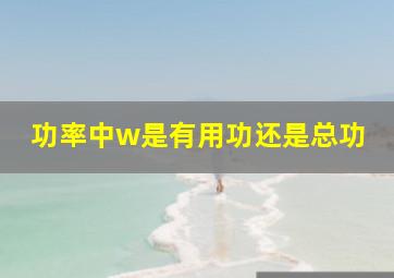 功率中w是有用功还是总功