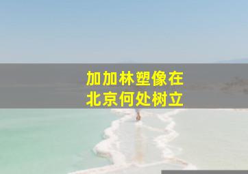 加加林塑像在北京何处树立