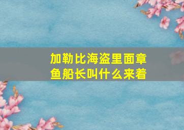 加勒比海盗里面章鱼船长叫什么来着