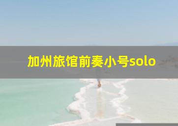 加州旅馆前奏小号solo