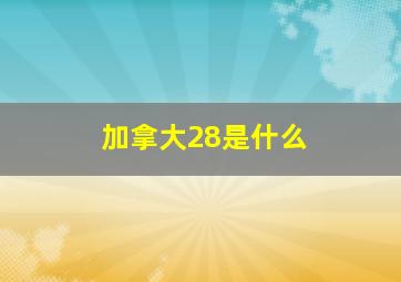 加拿大28是什么