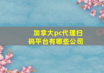 加拿大pc代理扫码平台有哪些公司