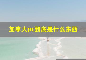 加拿大pc到底是什么东西