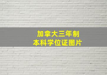 加拿大三年制本科学位证图片