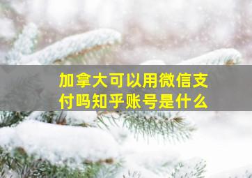 加拿大可以用微信支付吗知乎账号是什么