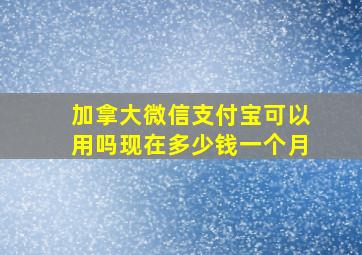 加拿大微信支付宝可以用吗现在多少钱一个月