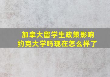 加拿大留学生政策影响约克大学吗现在怎么样了