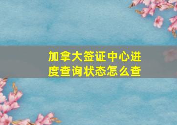 加拿大签证中心进度查询状态怎么查