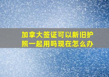 加拿大签证可以新旧护照一起用吗现在怎么办