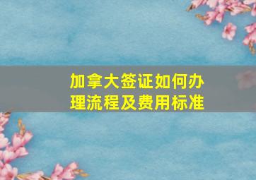 加拿大签证如何办理流程及费用标准