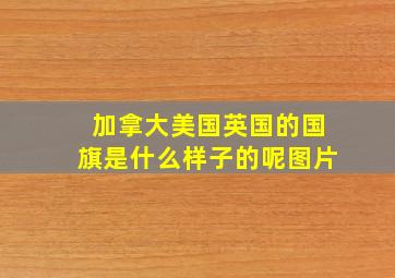 加拿大美国英国的国旗是什么样子的呢图片