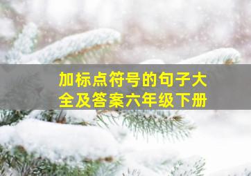 加标点符号的句子大全及答案六年级下册