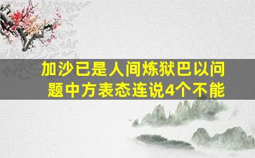 加沙已是人间炼狱巴以问题中方表态连说4个不能