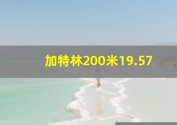 加特林200米19.57