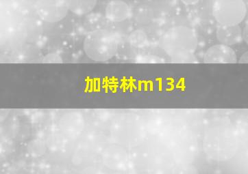 加特林m134