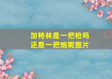 加特林是一把枪吗还是一把炮呢图片