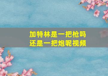 加特林是一把枪吗还是一把炮呢视频