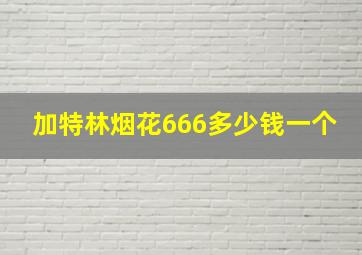 加特林烟花666多少钱一个