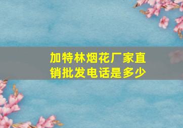 加特林烟花厂家直销批发电话是多少