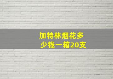 加特林烟花多少钱一箱20支