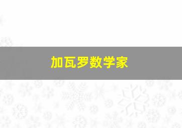 加瓦罗数学家