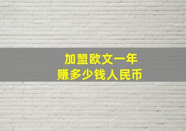 加盟欧文一年赚多少钱人民币