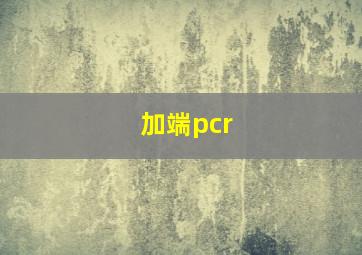 加端pcr