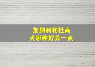 加纳利和杜高犬哪种好养一点