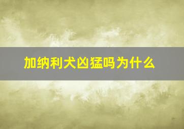 加纳利犬凶猛吗为什么