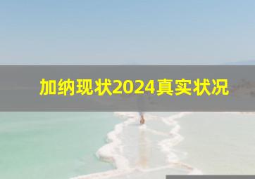 加纳现状2024真实状况