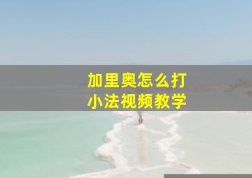 加里奥怎么打小法视频教学