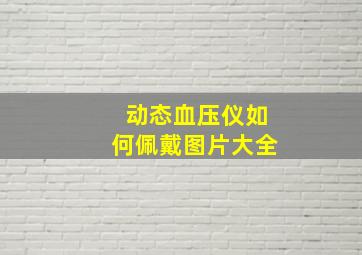 动态血压仪如何佩戴图片大全