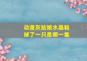 动漫灰姑娘水晶鞋掉了一只是哪一集