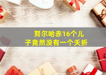 努尔哈赤16个儿子竟然没有一个夭折