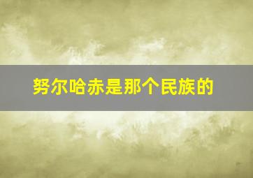 努尔哈赤是那个民族的