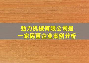 劲力机械有限公司是一家民营企业案例分析