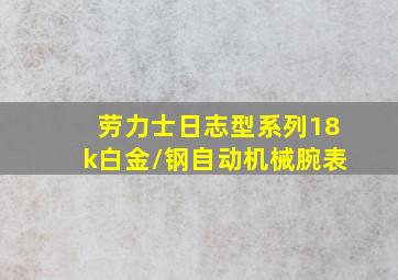 劳力士日志型系列18k白金/钢自动机械腕表