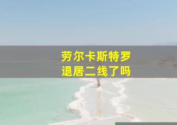 劳尔卡斯特罗退居二线了吗