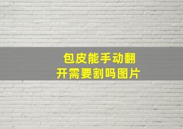 包皮能手动翻开需要割吗图片