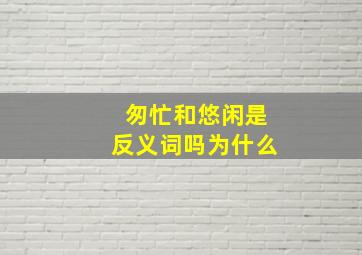 匆忙和悠闲是反义词吗为什么