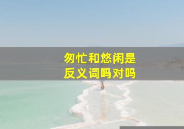 匆忙和悠闲是反义词吗对吗