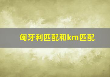 匈牙利匹配和km匹配